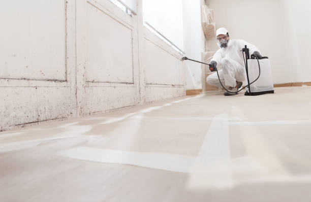 24/7 Emergency Mold Remediation experts in Sterling, VA